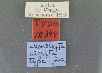 Media type: image; Entomology 18394   Aspect: labels